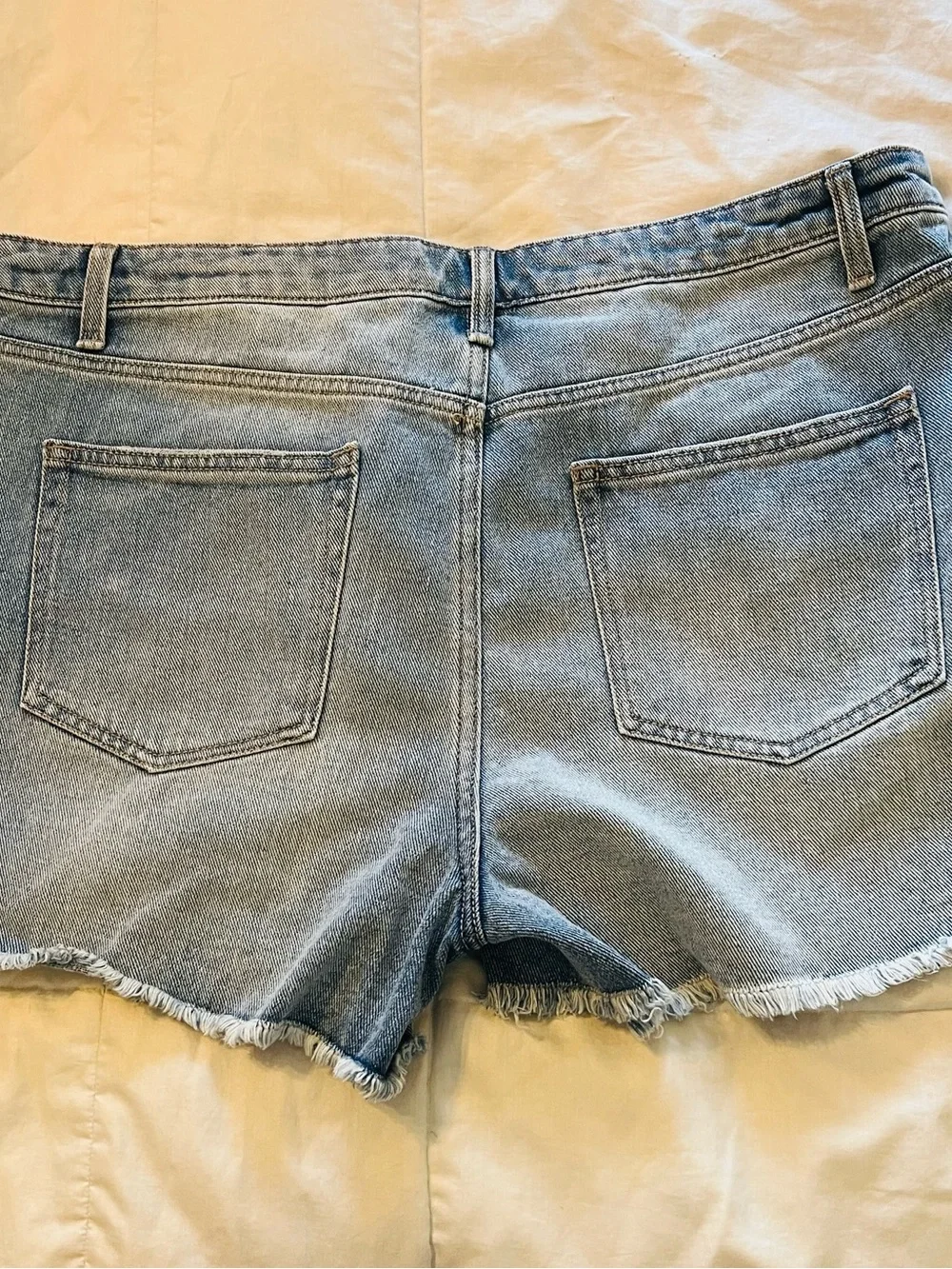 Time and Tru Light Blue Distressed Denim Shorts